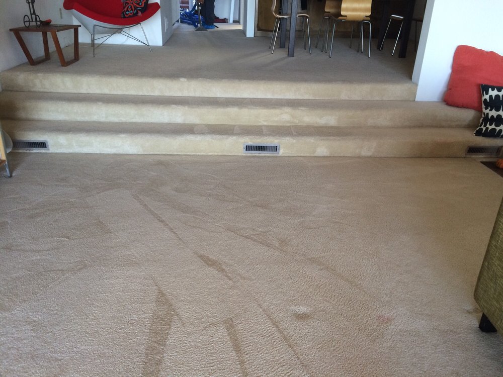 Affordable Residential and Commercial Carpet Cleaning Company Riverside