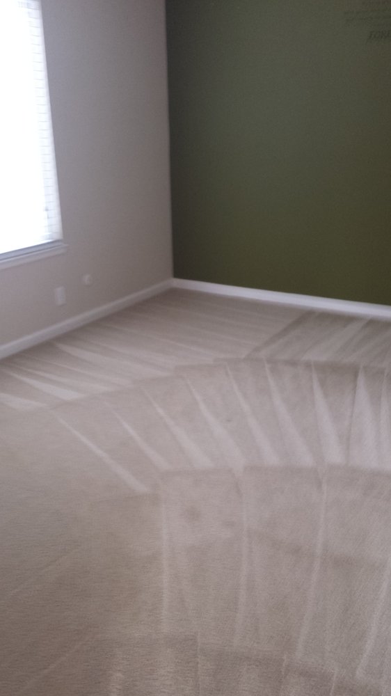 Low Cost Professional Carpet Cleaning Service Riverside Carpet Cleaners Near Me