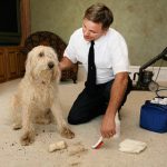 Thorough Carpet Cleaning and Maintenance Is a Necessary Task in Riverside