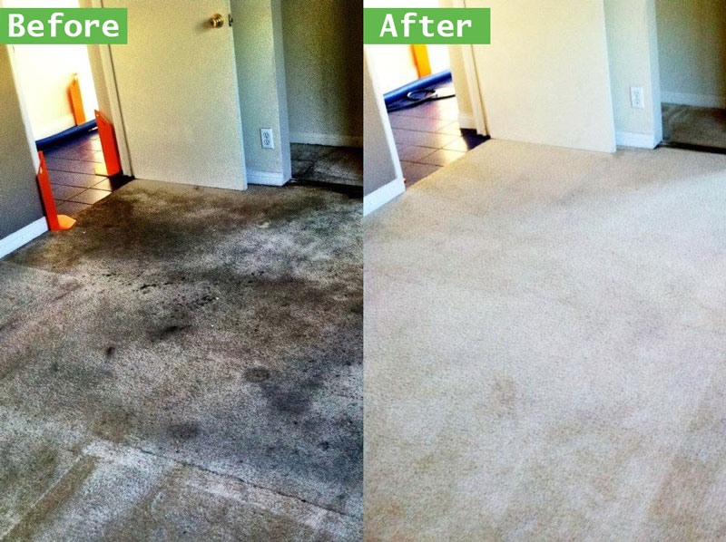 Cheap-Carpet-Cleaning-Service-[location]-Carpet-Cleaners
